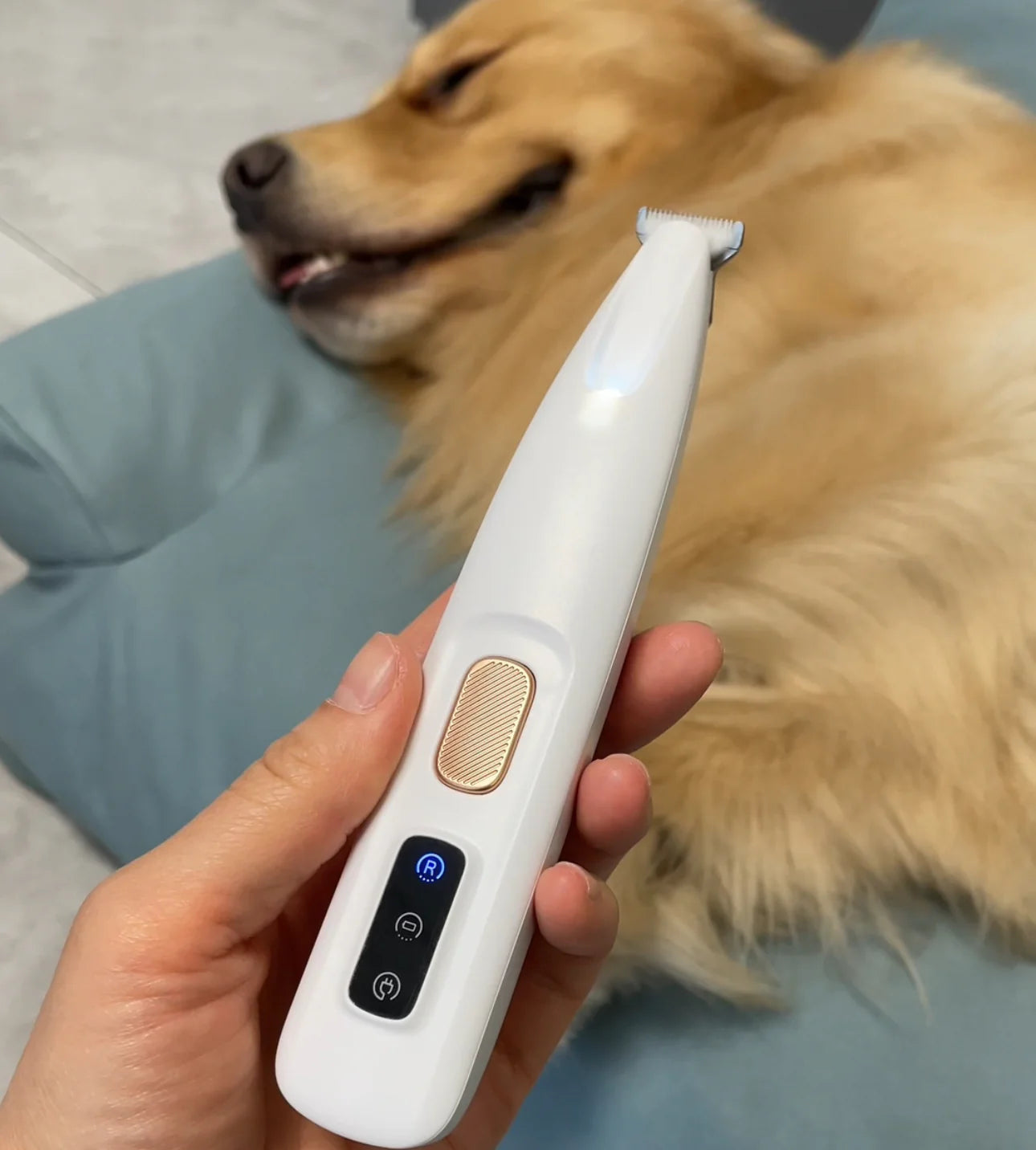 Animal Paw Trimmer